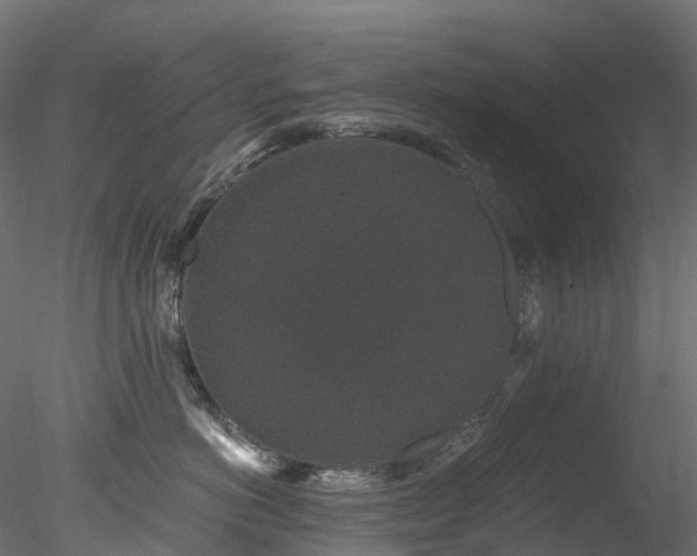 X0000078280766200611031208