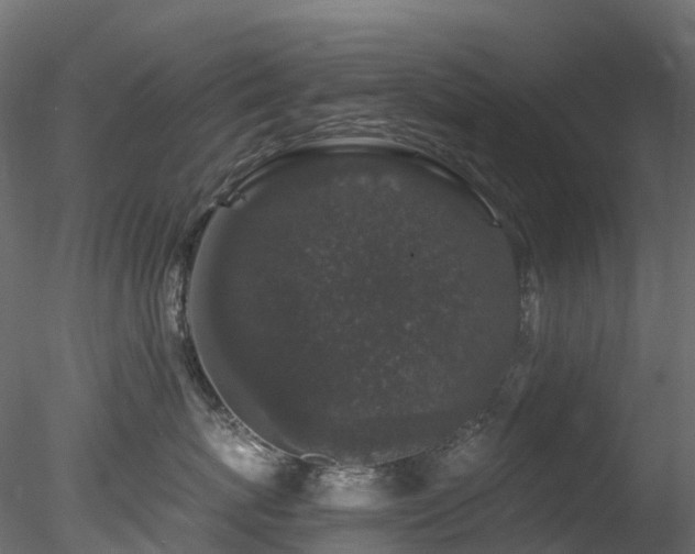 X0000078280767200611031208