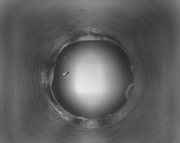 X0000078280768200611031208