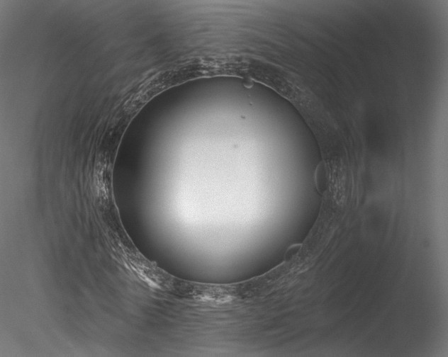 X0000078280770200611031207