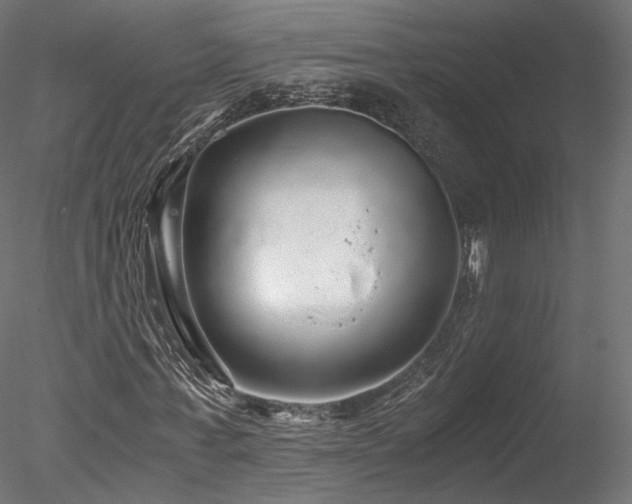 X0000078280771200611031207