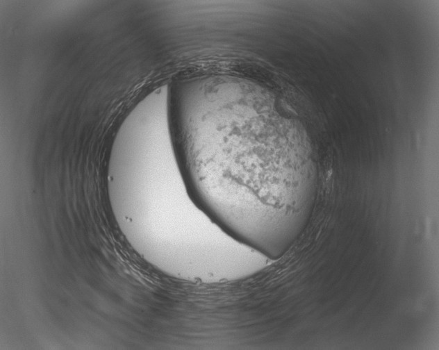 X0000078280772200611031207