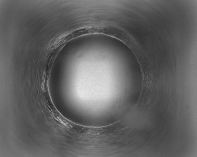 X0000078280773200611031207