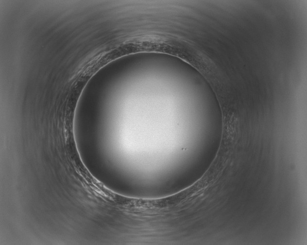 X0000078280774200611031207