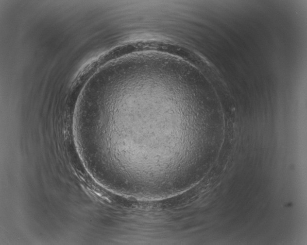 X0000078280775200611031207