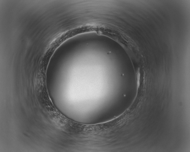 X0000078280776200611031207