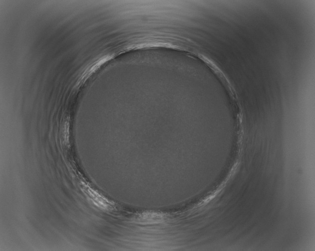 X0000078280777200611031207