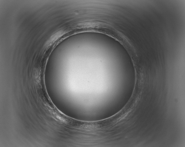 X0000078280778200611031207