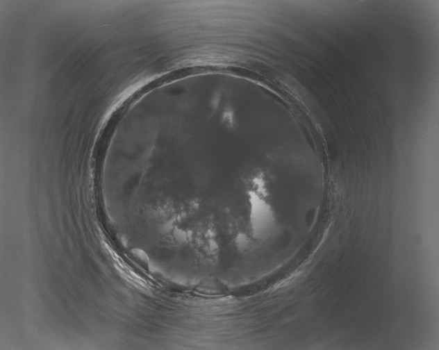 X0000078280779200611031207