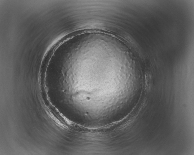 X0000078280780200611031207