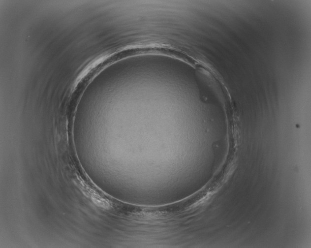 X0000078280781200611031207