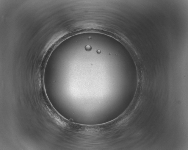 X0000078280782200611031207