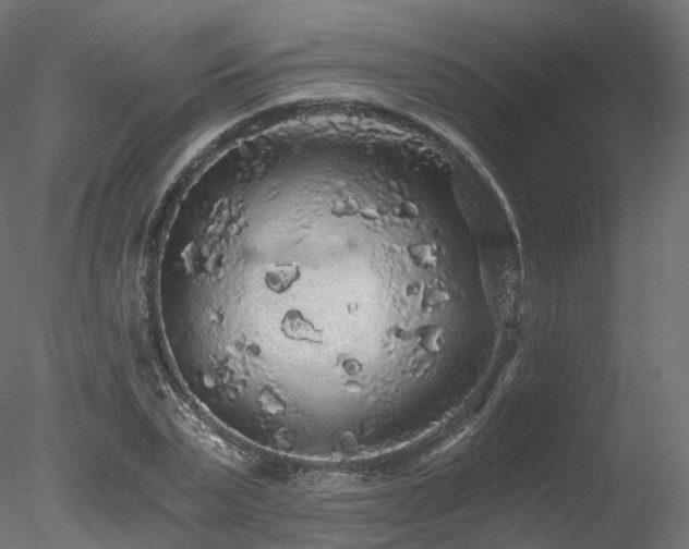 X0000078280783200611031207