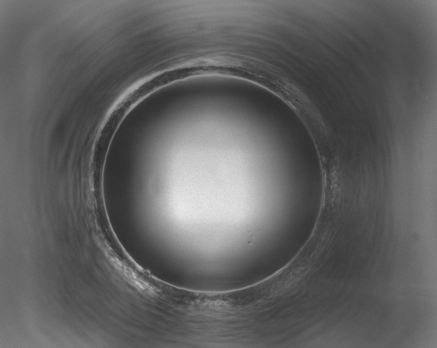 X0000078280784200611031207