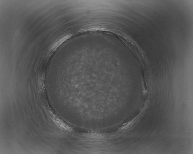 X0000078280785200611031207