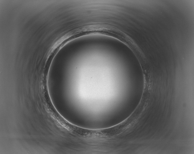 X0000078280786200611031207