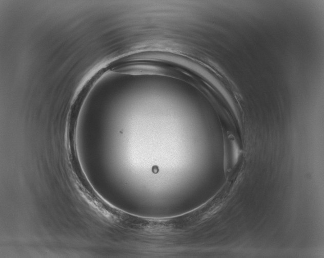 X0000078280788200611031207