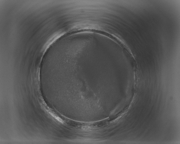 X0000078280790200611031207