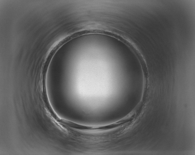 X0000078280791200611031207