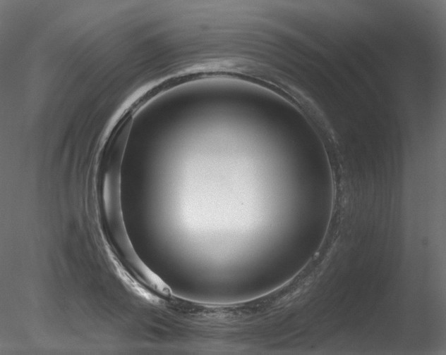 X0000078280792200611031207