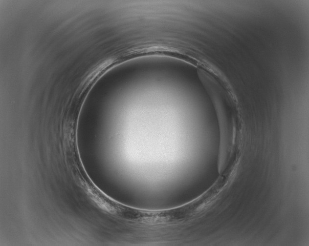 X0000078280793200611031207