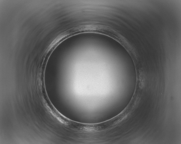 X0000078280794200611031207