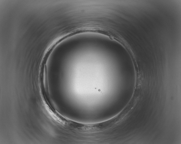 X0000078280795200611031207