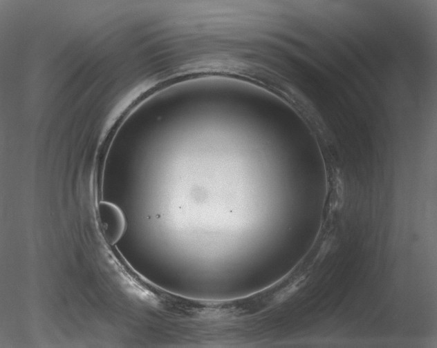 X0000078280796200611031207