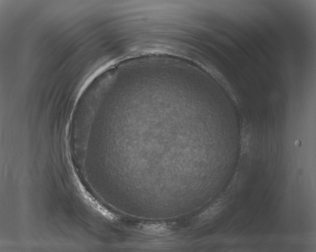 X0000078280798200611031207