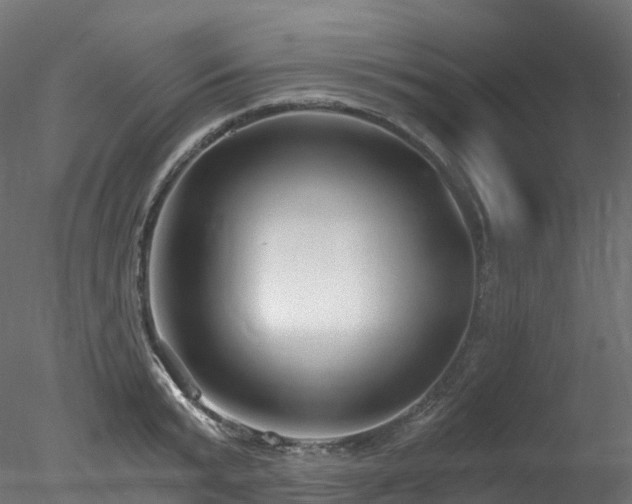 X0000078280799200611031207