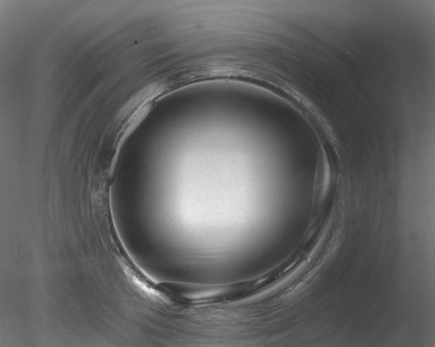 X0000078280801200611031207