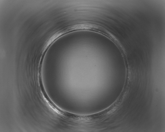 X0000078280802200611031207