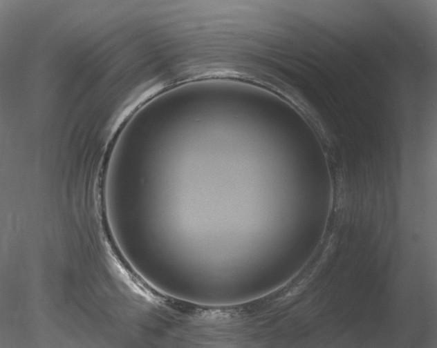 X0000078280806200611031207