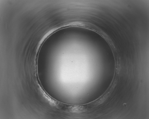 X0000078280808200611031207