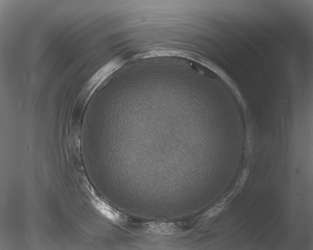 X0000078280809200611031207