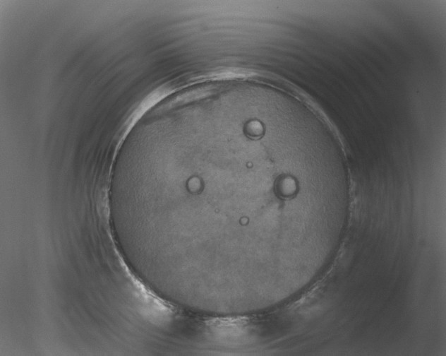 X0000078280810200611031207