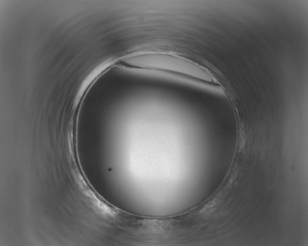 X0000078280812200611031207