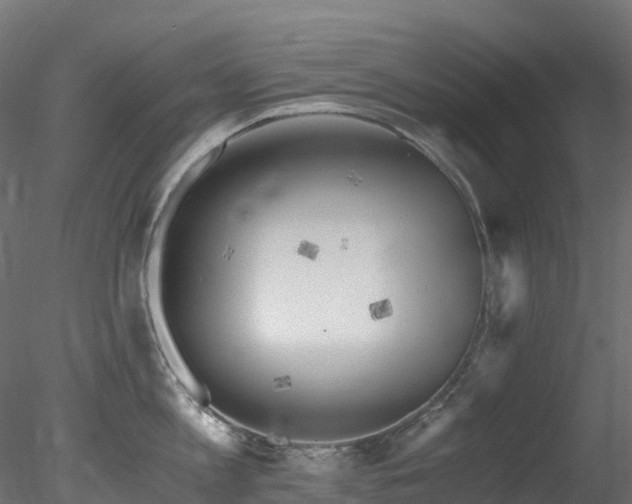 X0000078280813200611031207