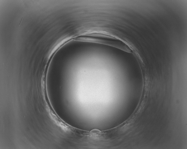 X0000078280814200611031207