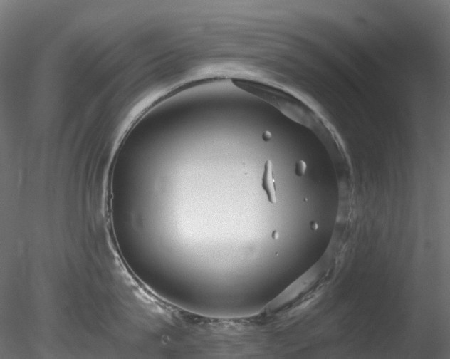 X0000078280815200611031207