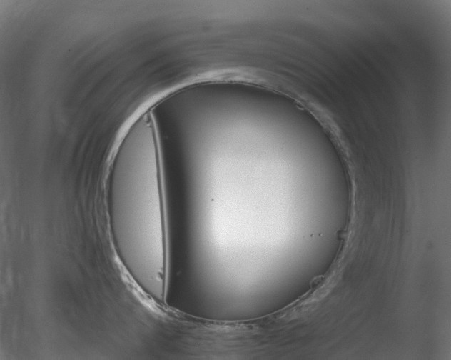 X0000078280816200611031207