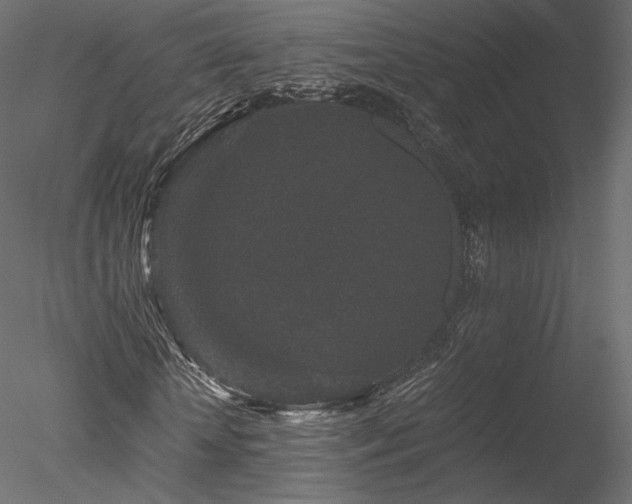 X0000078280818200611031206