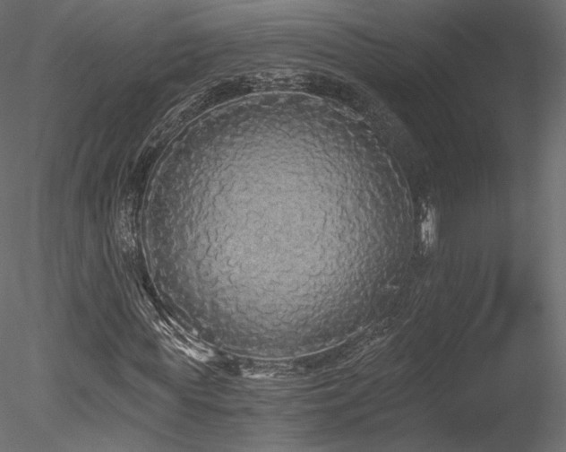 X0000078280819200611031206