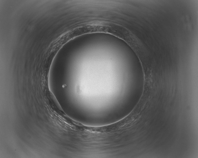 X0000078280821200611031206