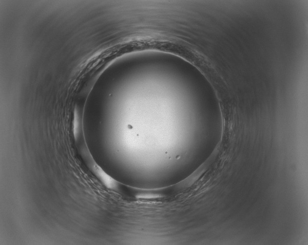 X0000078280822200611031206