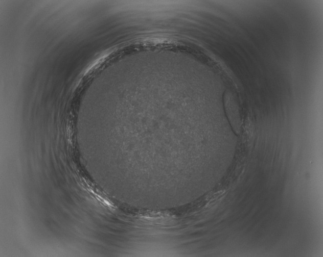 X0000078280823200611031206