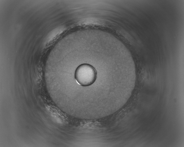 X0000078280824200611031206