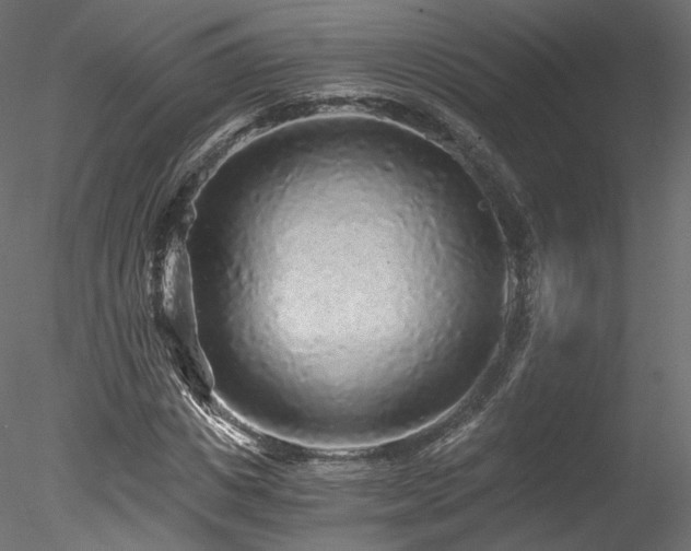 X0000078280825200611031206