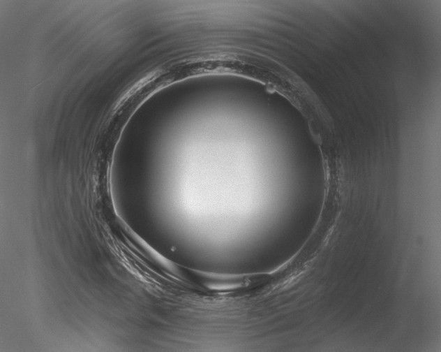 X0000078280826200611031206