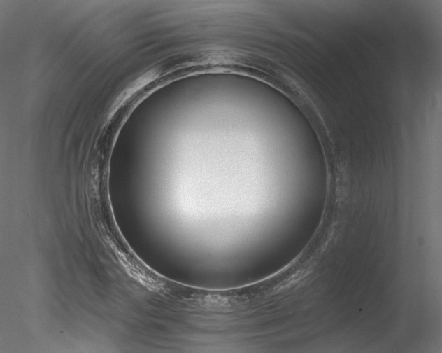 X0000078280827200611031206